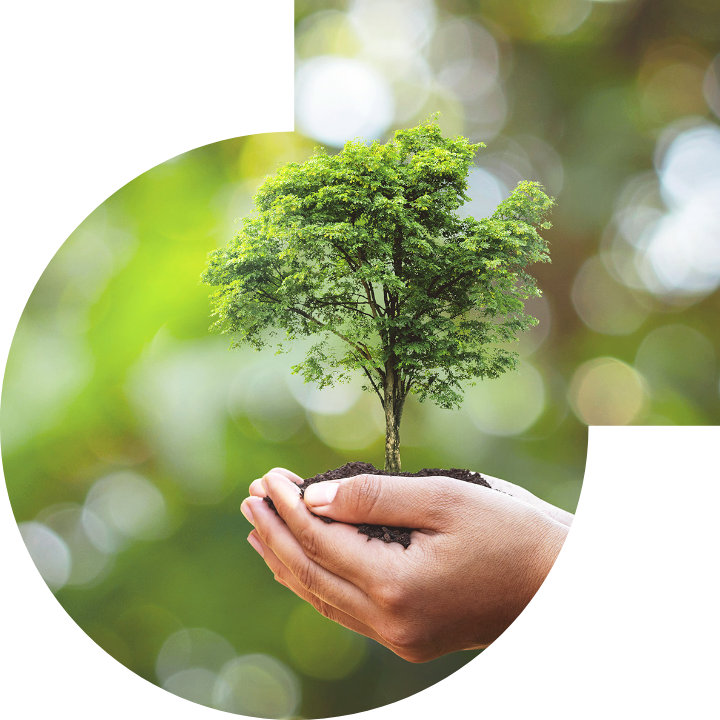 关怀人类、文化、环境与社会